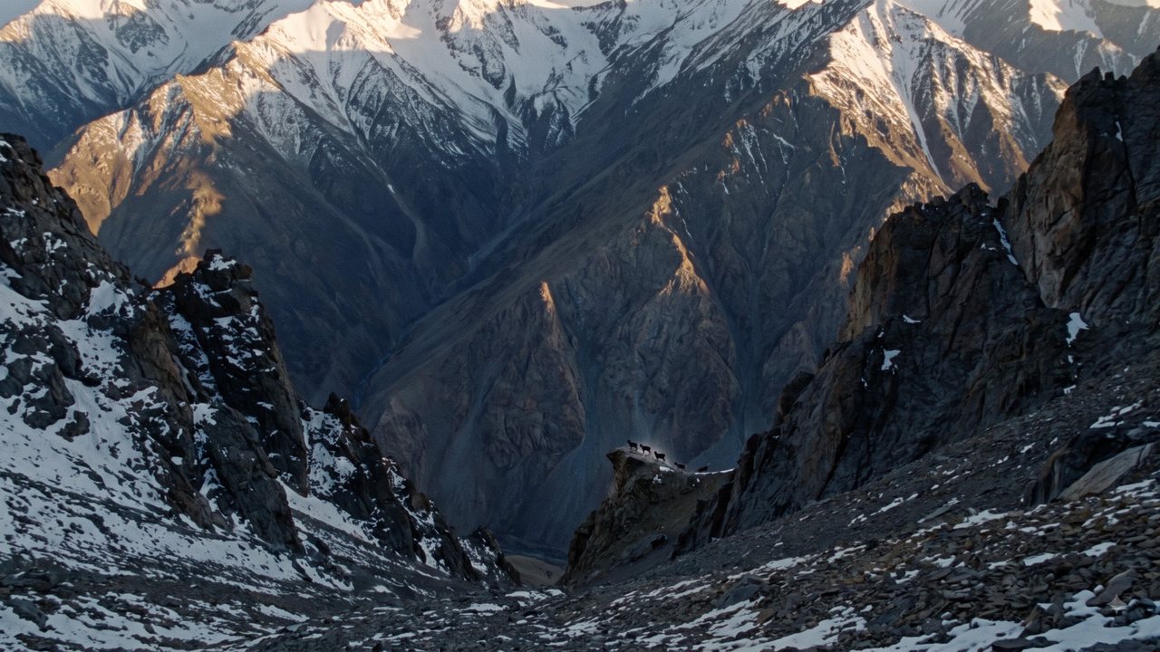 A high mountain valley with a small snow leopard on the rocks